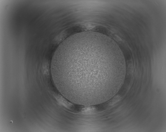 X0000074970274200609081419