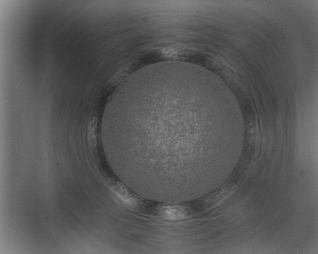 X0000074970275200609081419