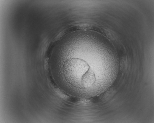 X0000074970278200609081419