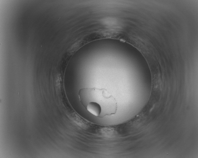 X0000074970279200609081419