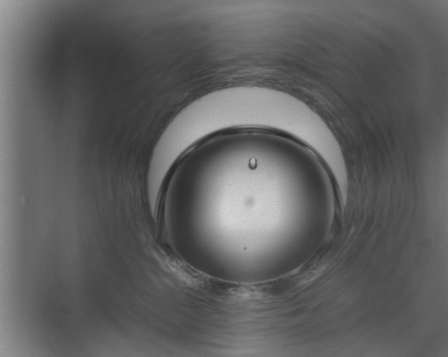 X0000074970284200609081419