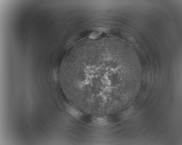 X0000074970285200609081419