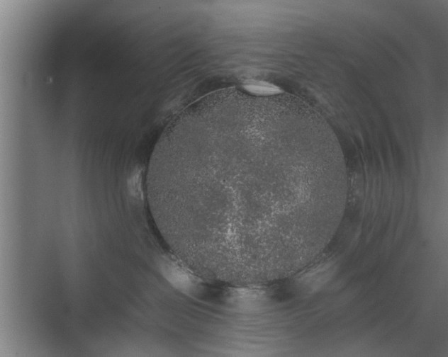 X0000074970286200609081419