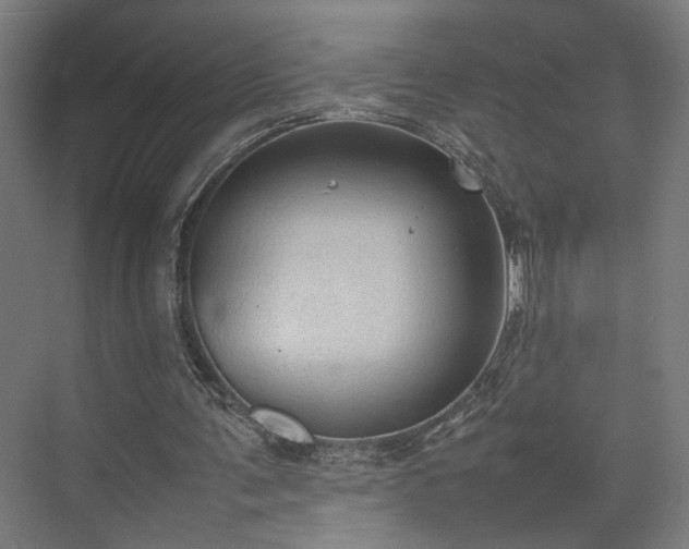 X0000074970291200609081418