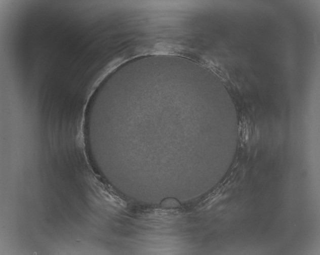 X0000074970292200609081418