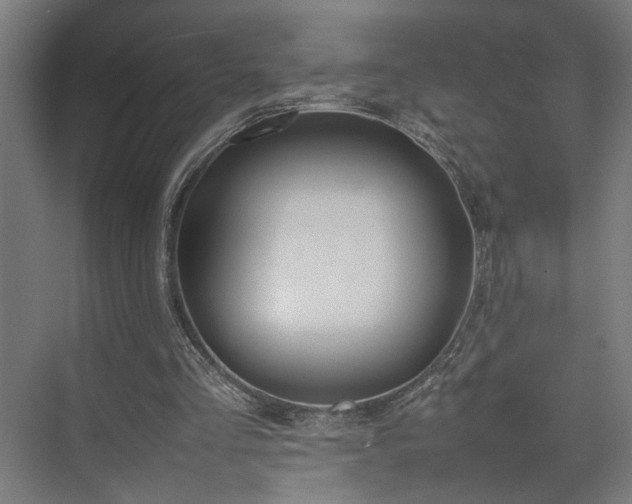 X0000074970293200609081418