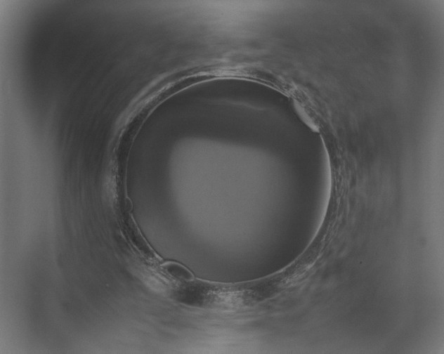 X0000074970295200609081418