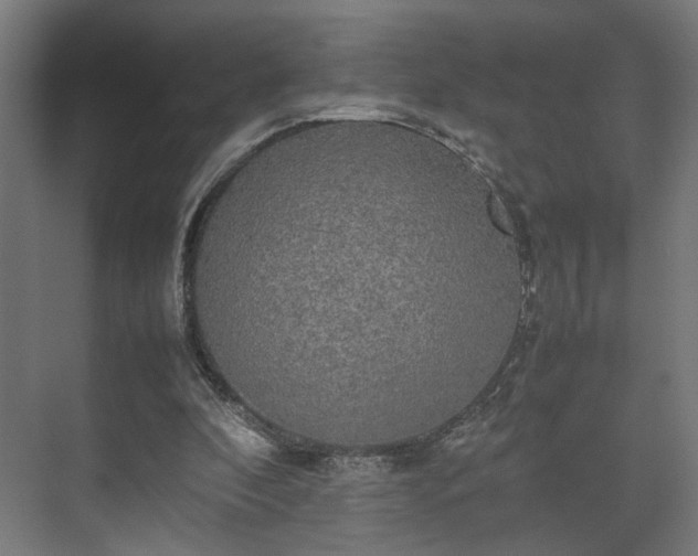 X0000074970296200609081418