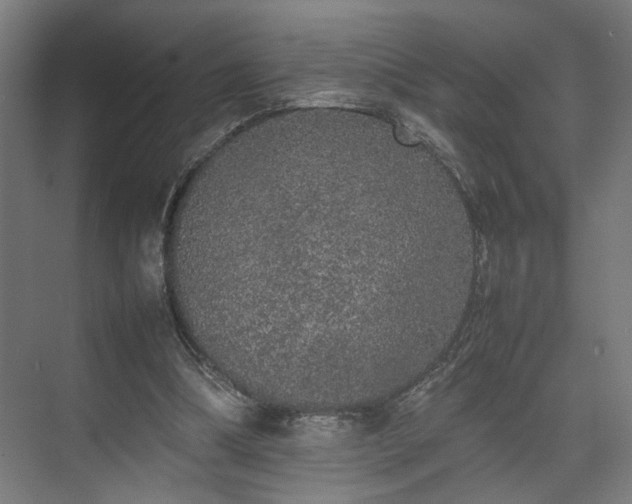 X0000074970298200609081418