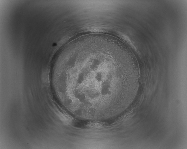 X0000074970299200609081418