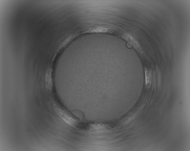 X0000074970300200609081418