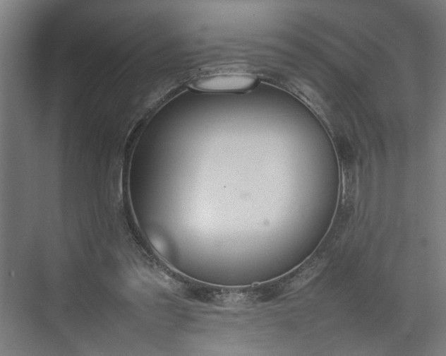 X0000074970301200609081418