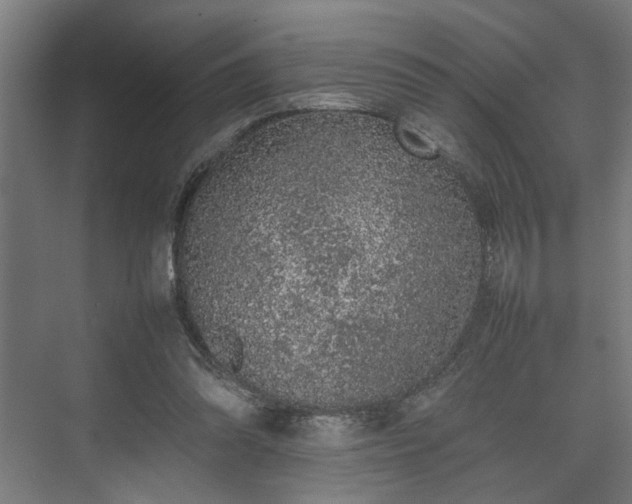 X0000074970302200609081418