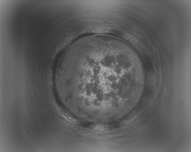 X0000074970303200609081418