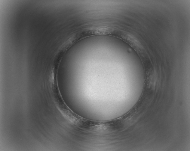 X0000074970310200609081418