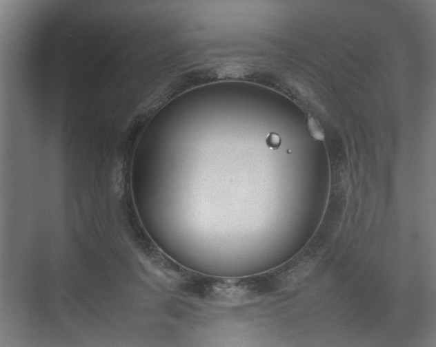 X0000074970311200609081418