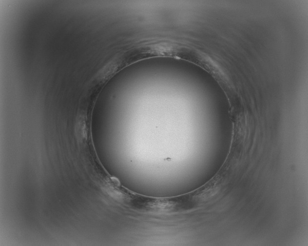 X0000074970313200609081418