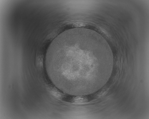 X0000074970315200609081418