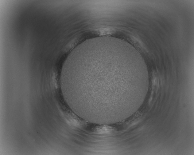 X0000074970316200609081418