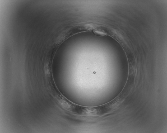 X0000074970317200609081418