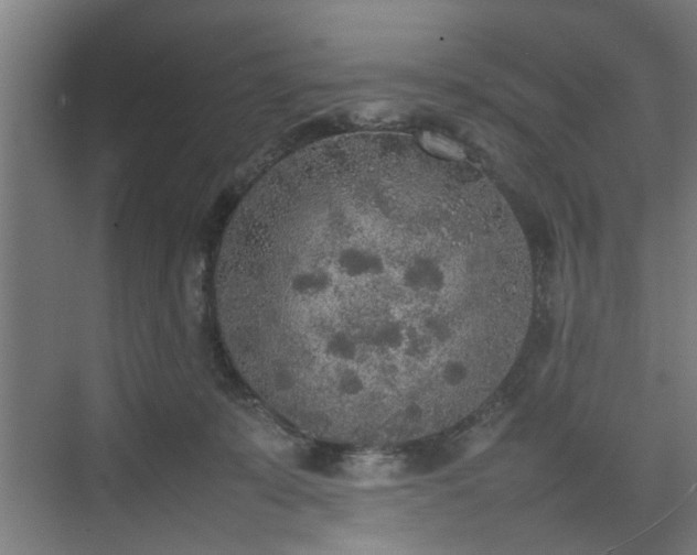 X0000074970319200609081418