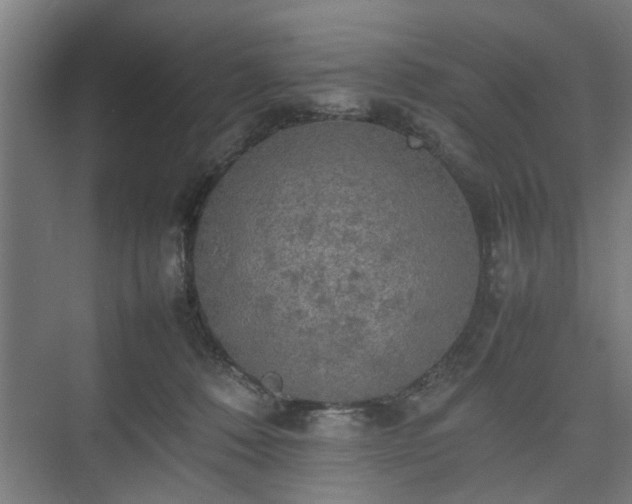 X0000074970320200609081418