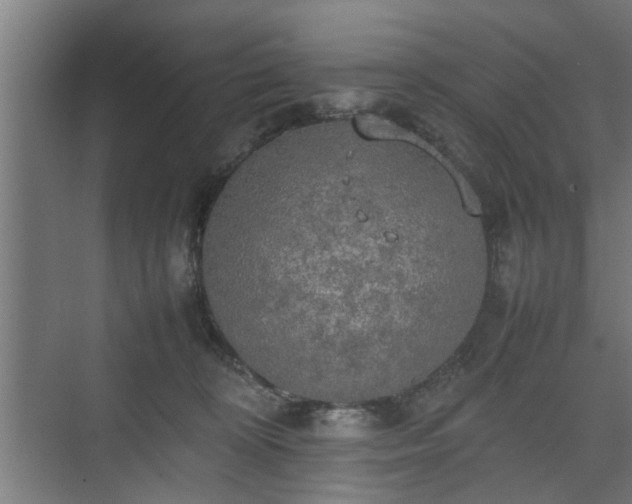 X0000074970324200609081418