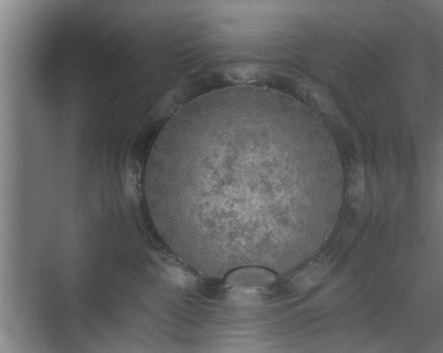 X0000074970332200609081418