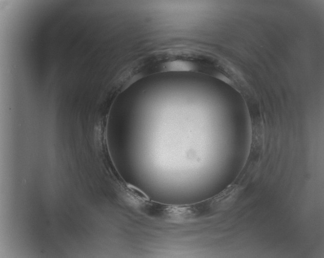 X0000074970333200609081418