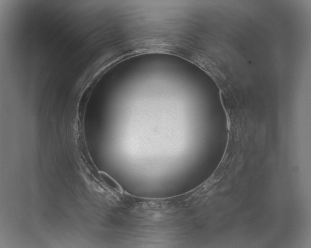 X0000074970338200609081417