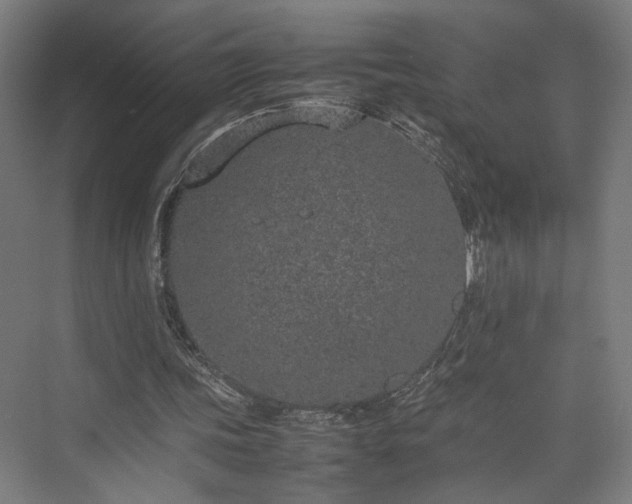 X0000074970339200609081417