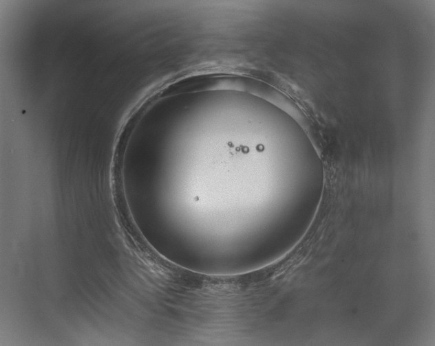 X0000074970340200609081417