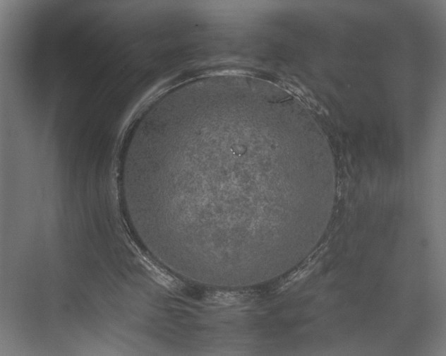 X0000074970341200609081417