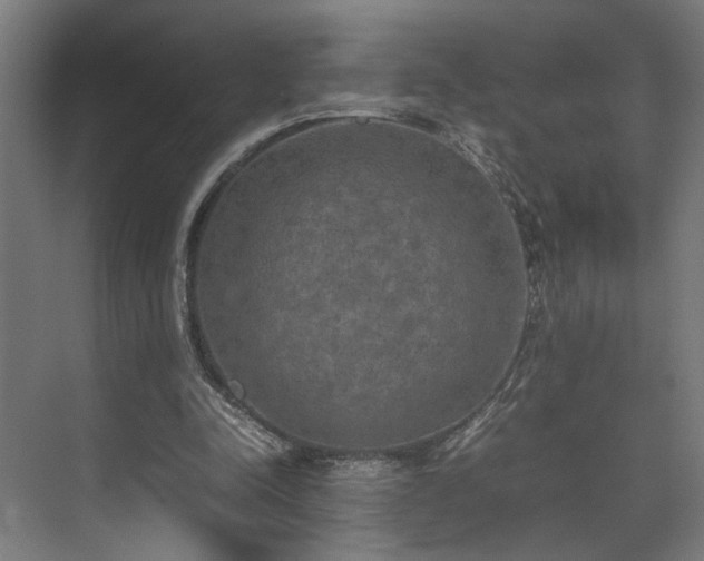 X0000074970342200609081417