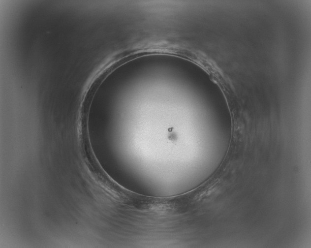 X0000074970344200609081417