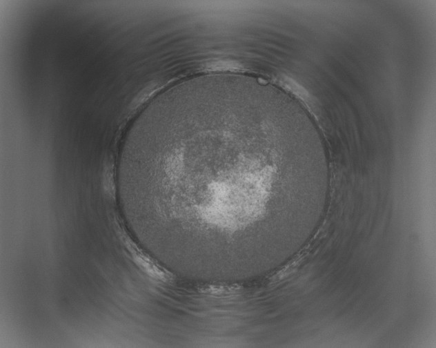 X0000074970345200609081417