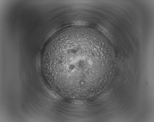 X0000074970347200609081417