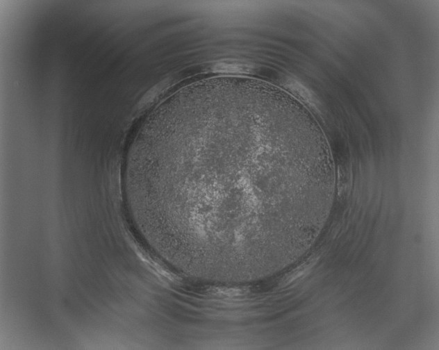 X0000074970349200609081417