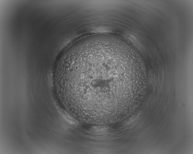 X0000074970351200609081417