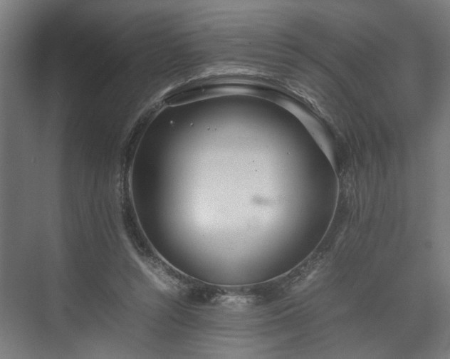 X0000074970352200609081417