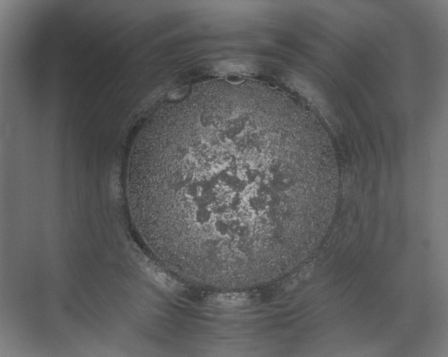 X0000074970353200609081417