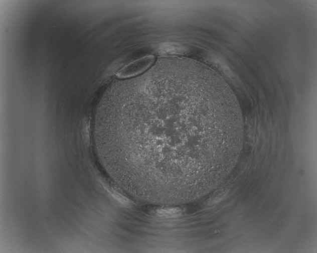 X0000074970357200609081417