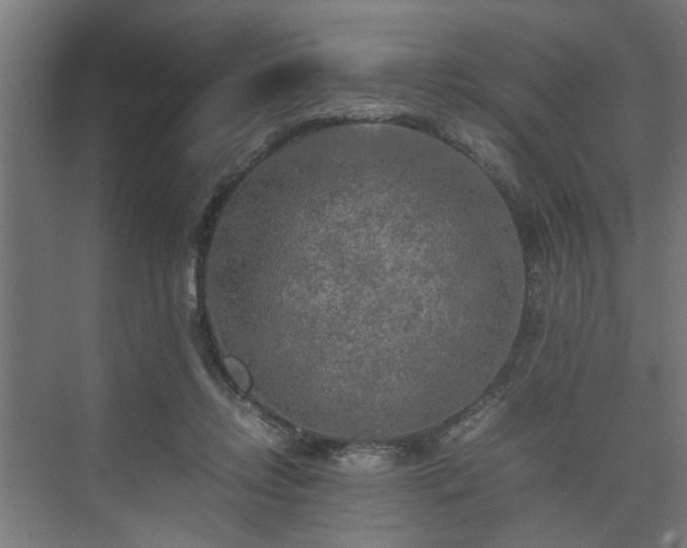 X0000074970358200609081417