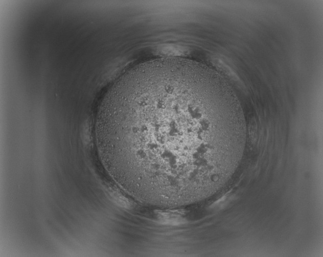 X0000074970359200609081417