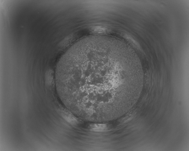 X0000074970361200609081417