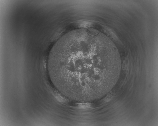 X0000074970363200609081417