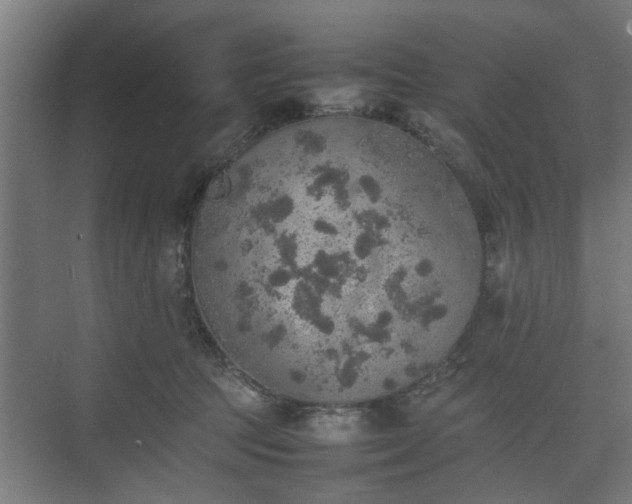 X0000074970369200609081417