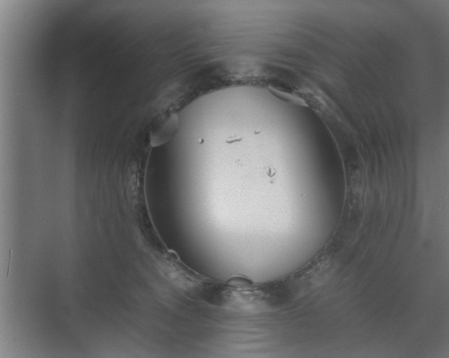 X0000074970372200609081417