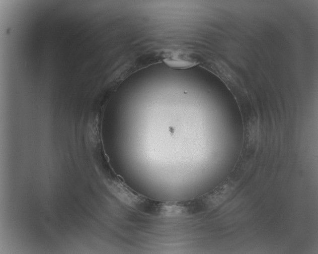 X0000074970376200609081418