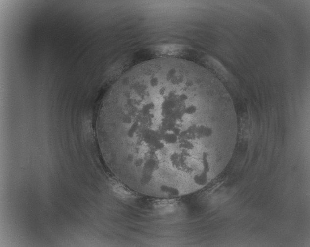 X0000074970377200609081418